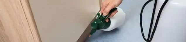 Bed bug exterminator treating baseboards and cracks with targeted spray in Salt Lake City, UT