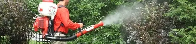 Mosquito control technician fogging shrubs and landscaping for mosquito treatment in Salt Lake City, UT