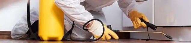 Roach exterminator treating cracks and crevices along kitchen baseboards in Salt Lake City, UT
