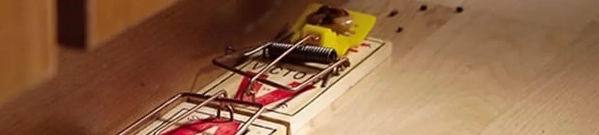 Rodent trap set indoors for rodent control and prevention in Salt Lake City, UT