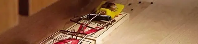 Rodent trap set indoors for rodent control and prevention in Salt Lake City, UT