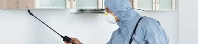 Termite treatment technician applying indoor pest control spray in Salt Lake City, UT